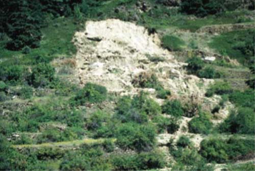 Un esempio dell'azione erosiva dell'acqua sul terreno.