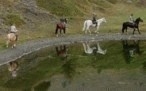 Equitaci�n