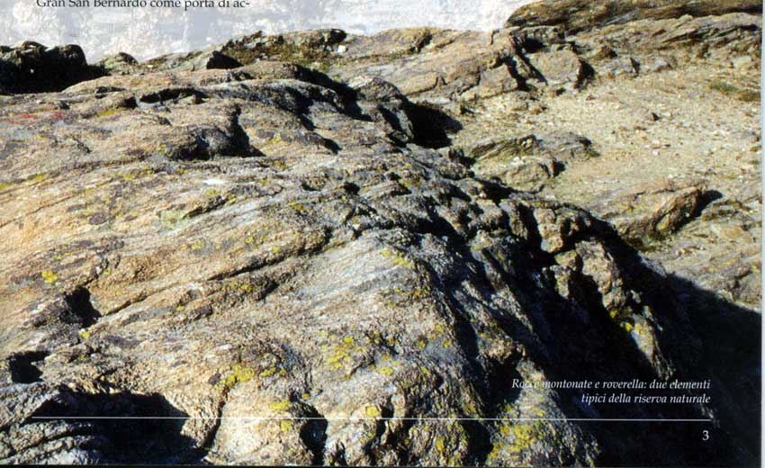 Rocce montonate e roverella: due elementi tipici della riserva naturale.