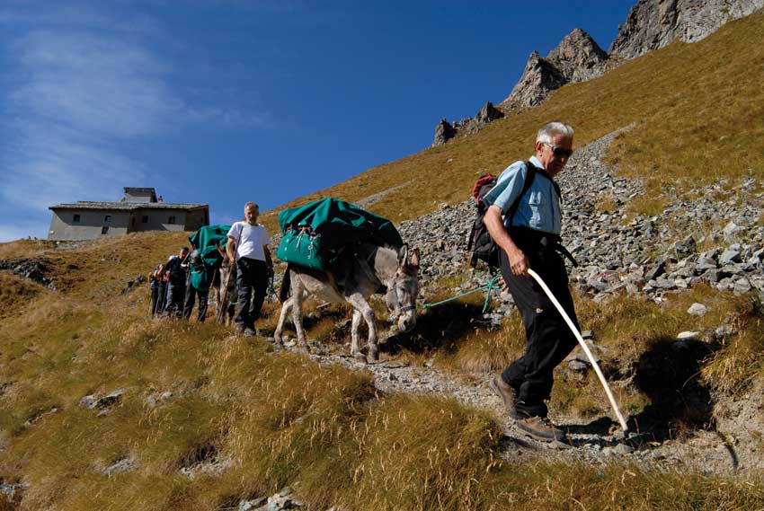 Somari carichi nei pressi dell’Ospizio Sottile (Gressoney).