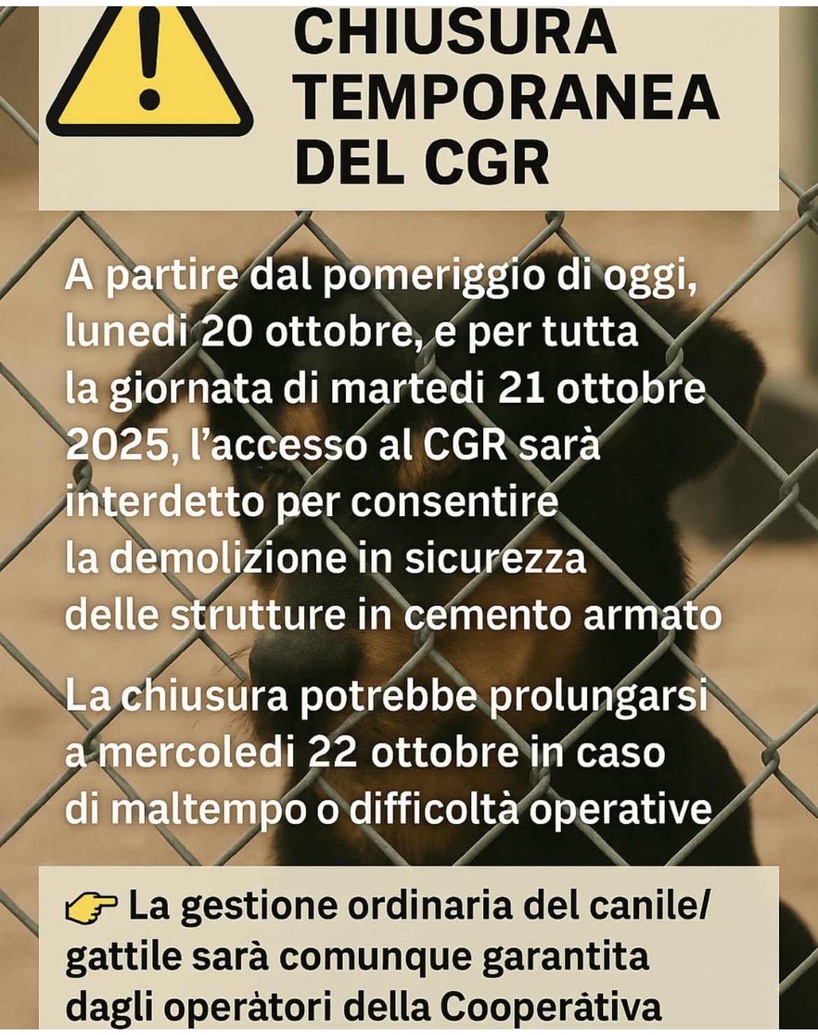 chiusura urgente canile