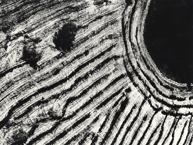 Mario Giacomelli, "Presa di coscienza sulla natura", 1976-80, gelatina ai sali d’argento. © Archivio Mario Giacomelli