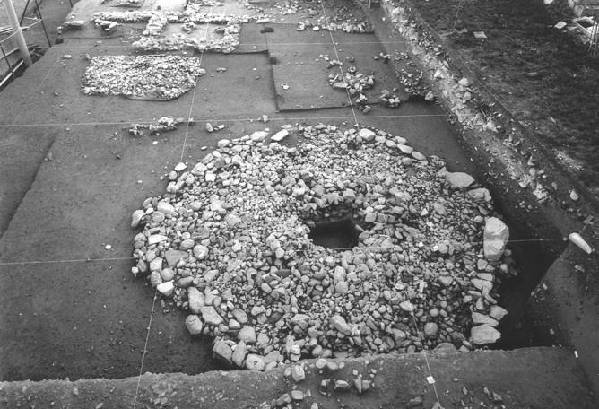 Tumulo della prima età del Ferro (scavi 1986-1987-1988)