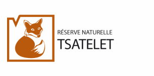 Logo_Tsatelet