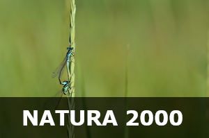 Natura 2000