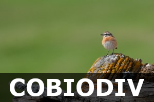 Cobiodiv