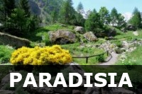 Paradisia