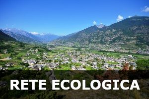 Rete ecologica