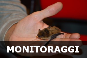 Monitoraggi