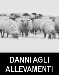 Danni agli allevamenti