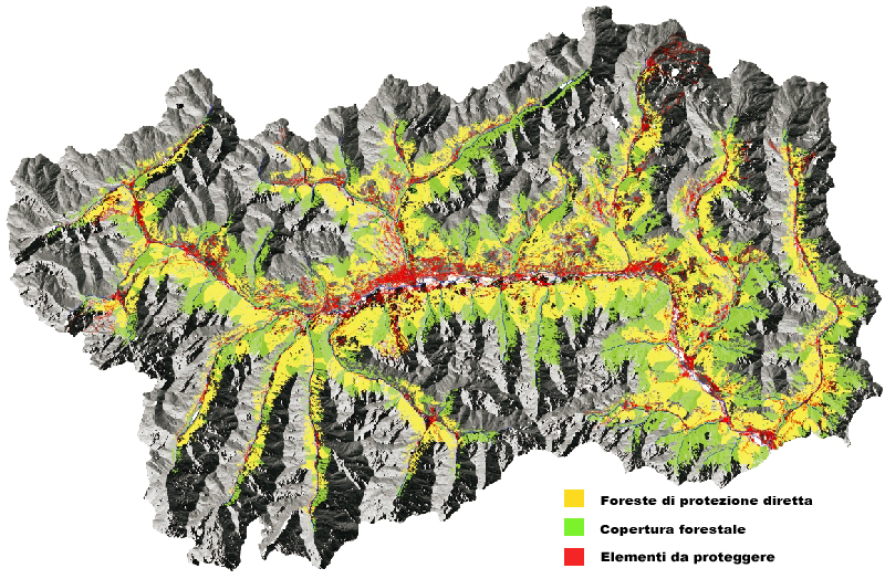 Foreste di protezione