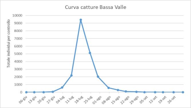 Curva delle catture - Bassa Valle 2024