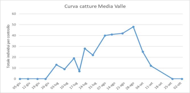 Curva delle catture - Media Valle 2024